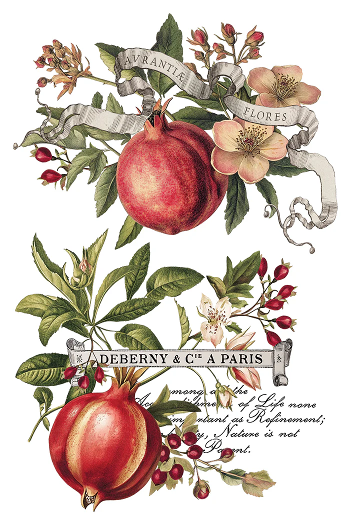 Transfer Clementine - 20x30cm - Imagem 4