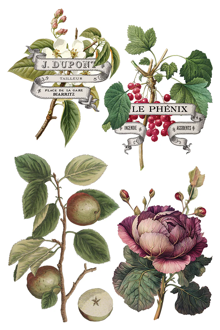 Transfer Clementine - 20x30cm - Imagem 6