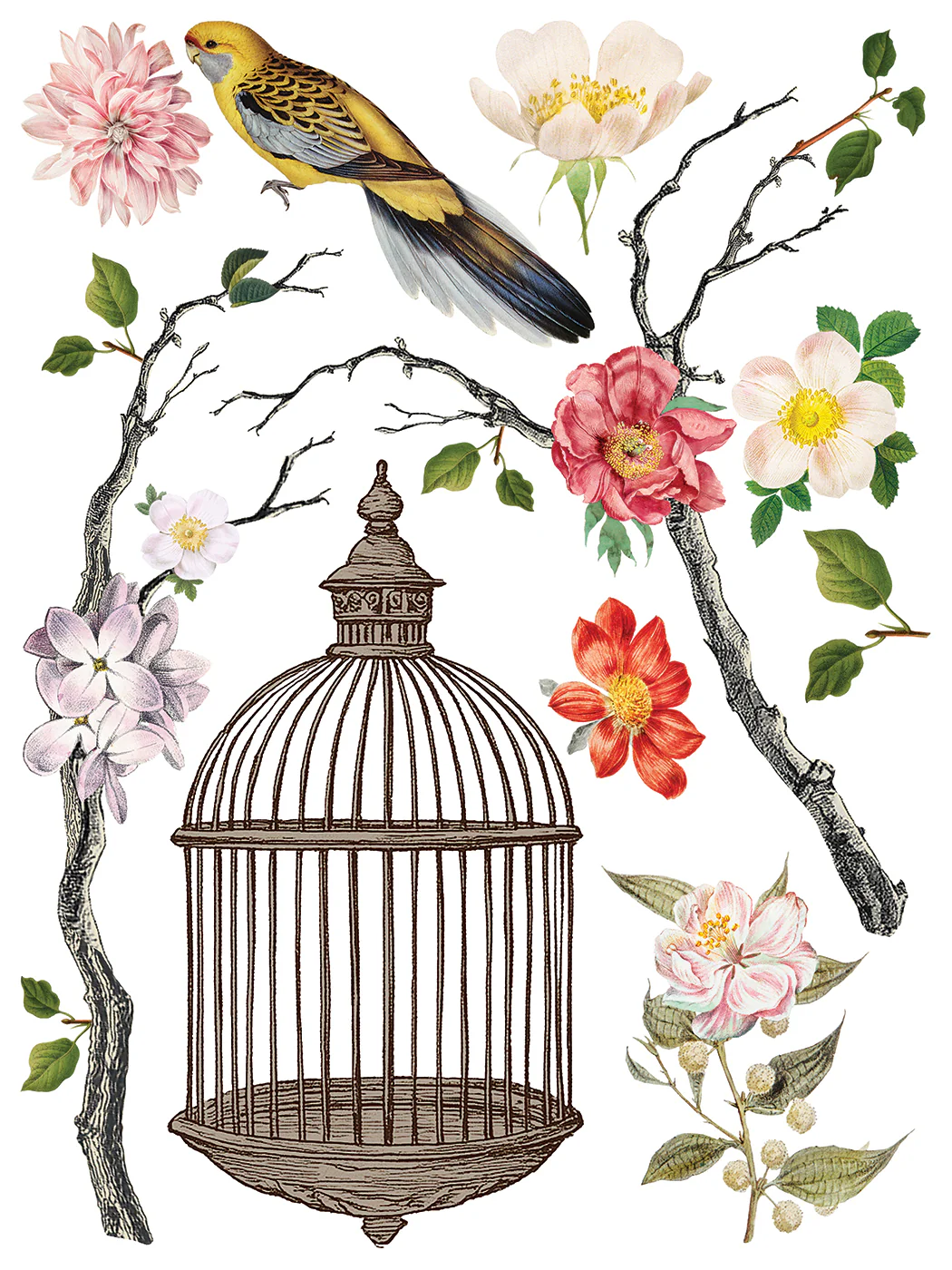 Transfer Menagerie 30x40 - Imagem 4